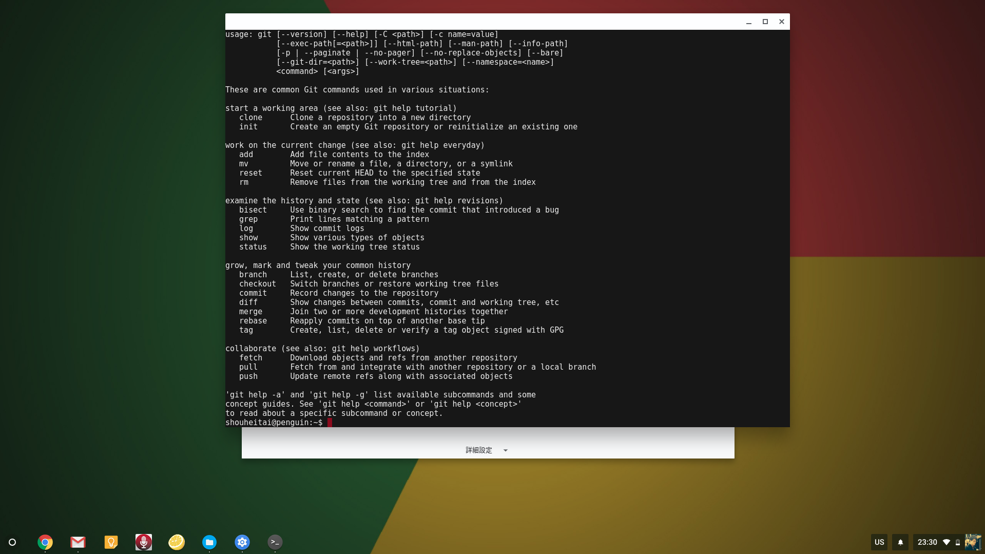 Chromebookがlinux対応 Chromeosのターミナルを動かしてみた